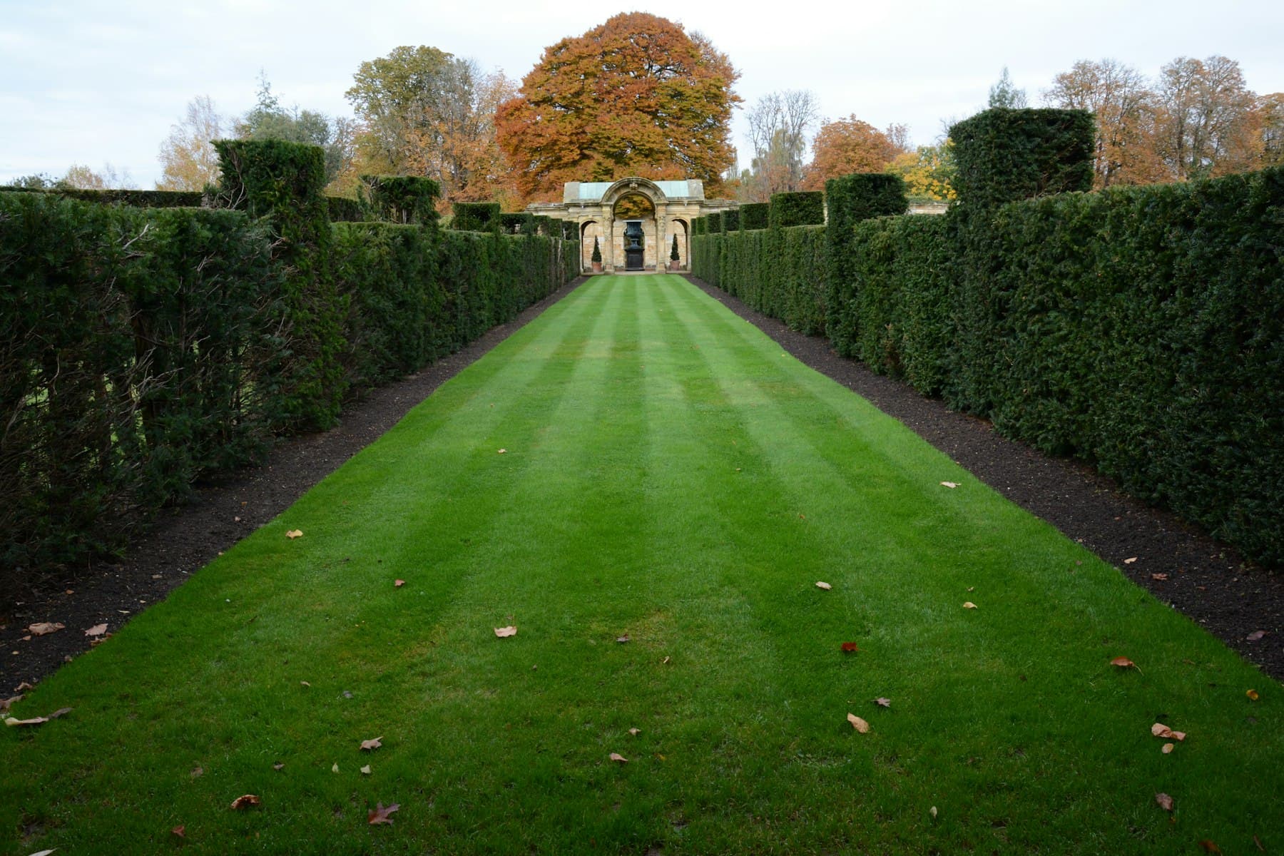 Neatly striped, freshly mown lawn framed by manicured hedges